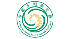 中国水稻研究所